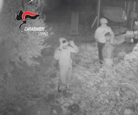 CANAVESE - Furti nelle case di Pont, Cuorgnè e Colleretto Castelnuovo: sei ladri arrestati dai carabinieri - VIDEO