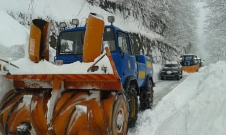 VALLE SOANA - Slavina blocca la strada per Piamprato - FOTO