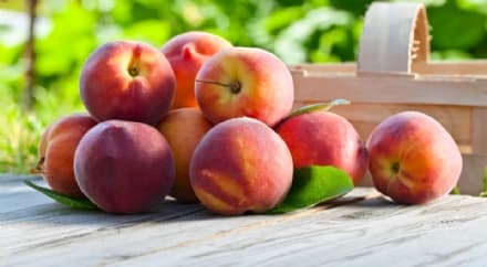 MAGLIONE - Rimandata la sagra delle pesche a causa delle gelate e della grandine