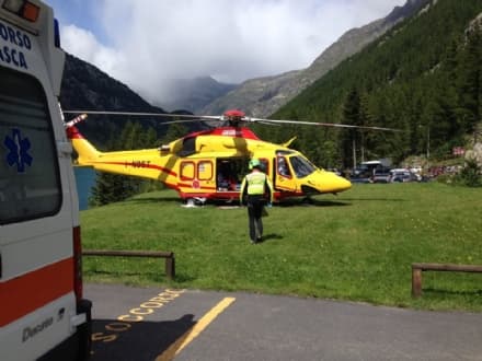 CERESOLE - Vespa punge corridore: dramma sfiorato - FOTO
