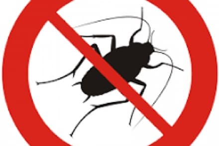 CHIVASSO - Blatte e topi: parte la campagna di disinfestazione