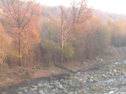 CUORGNE' - Via detriti e vegetazione dall'Orco per evitare alluvioni