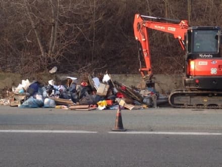 DISCARICHE SULLA 460 - La Città Metropolitana e i Comuni varano il piano contro i maiali