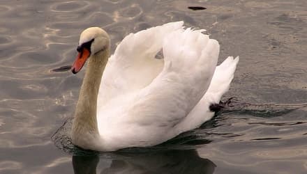 Una storia da raccontare