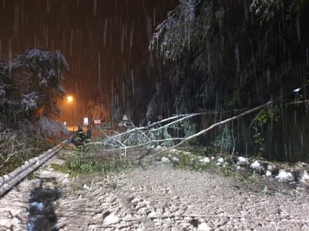 CANAVESE - Comuni senza corrente: Uncem scrive a Enel