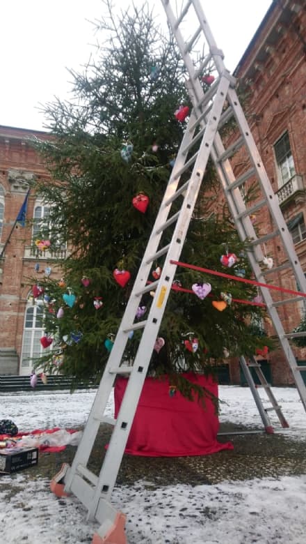 AGLIE' - Il Comitato Tutela Salute e Ambiente addobba l'albero del castello e lancia lo scrigno della fiducia