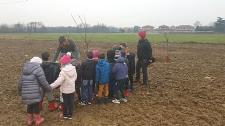 VOLPIANO - Nasce il frutteto comunitario: lo curerà tutta la città