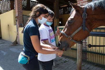 BAIRO - Alla «Rolanda Quarter horses» atleti diversamente abili da tutta Italia per i campionati nazionali