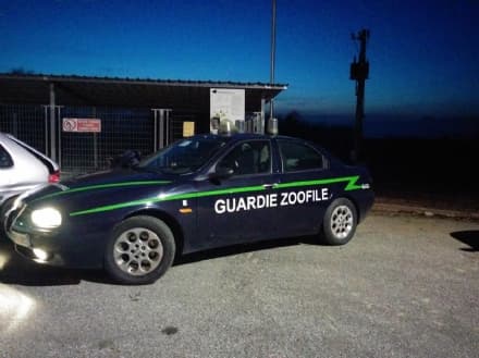 CALUSO - Cavalli maltrattati con le scariche elettriche: blitz di Striscia la Notizia e delle guardie zoofile - FOTO