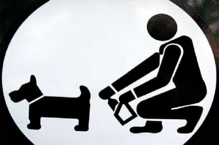 BORGARO - «Chi raccoglie semina civiltà a Borgaro»: ecco il contest