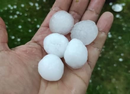 CANAVESE - Grandine: incalcolabili i danni alle coltivazioni e soprattutto ai vigneti