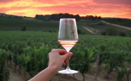 LIBRI – Il Golosario Wine Tour