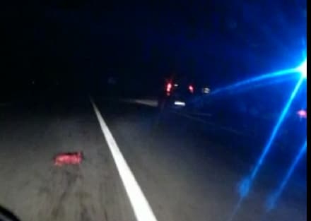 BAIRO - Incidente sulla pedemontana: cinghiale ucciso - VIDEO
