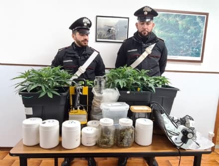 BALDISSERO CANAVESE - Serra artigianale in casa per coltivare marijuana: 37enne denunciato