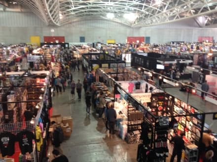 EVENTI - Tanti canavesani a Torino Comics