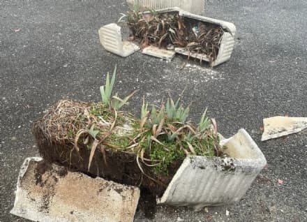 IVREA - Degrado e vandalismi davanti alla chiesa del Sacro Cuore, fioccano lamentele - FOTO