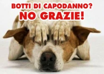 CUORGNE'-CASTELLAMONTE - I sindaci: «Meno botti a Capodanno»