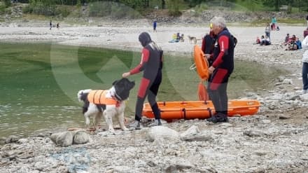 CERESOLE REALE - Cani terranova salvano bagnanti che rischiano di annegare (ma era per fortuna un'esercitazione) - FOTO e VIDEO