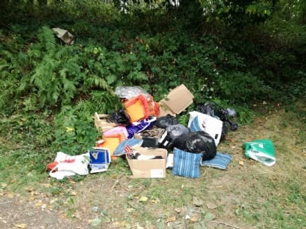 CASTELLAMONTE - A Spineto non si «tagga il maiale»: strade periferiche utilizzate come discariche abusive - FOTO