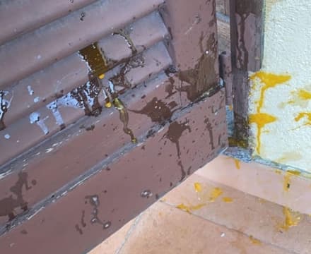 FELETTO - Lancio di uova contro la casa, l'allarme dei proprietari: ora indaga la polizia locale