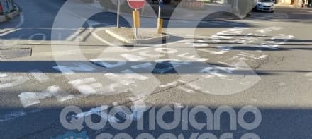 CASTELLAMONTE - Scritta contro il sindaco Mazza di fronte al municipio: «Sindaco vaccinato sei come Schettino» - FOTO E VIDEO