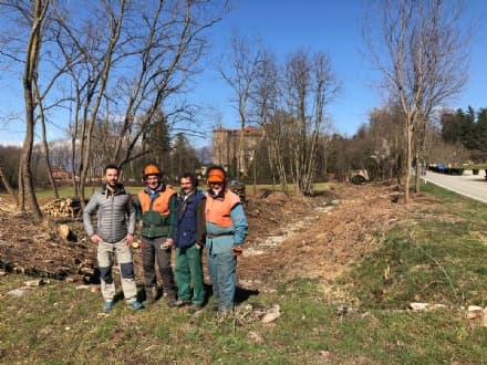 AGLIE' - Tolte le piante nella zona del rio Rialto, spunta un castello...