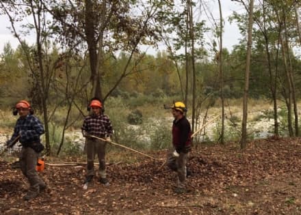 RIVAROLO - Partiti i lavori di manutenzione lungo l'Orco - FOTO