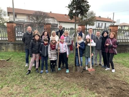 LEINI - Piantati 32 nuovi alberi grazie ad «Alberi per il futuro» - FOTO