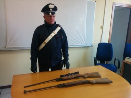 CALUSO - Cavalli maltrattati: sequestrate due carabine