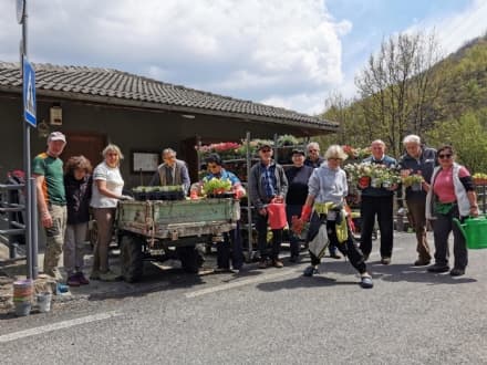 INGRIA - Una comunità in fiore: dal Canada e dagli Usa per valutare il piccolo Comune della Valle Soana
