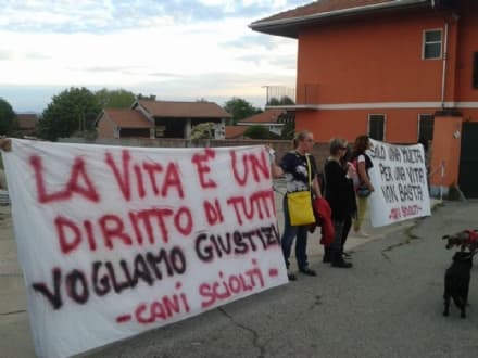 MAZZE' - Animalisti in corteo dopo l'uccisione del cane