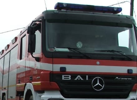 CASTELLAMONTE - Chiusi in un sacco e gettati nel canale: quattro cuccioli barbaramente uccisi