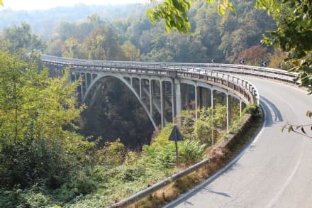 PONTE PRETI - Droni e laser per valutare la «salute» della struttura