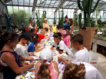 AGLIE' - Alla scuola secondaria Olivetti i distanziatori verdi per le aule scolastiche