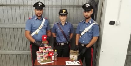 FAVRIA - Litiga con i vicini e i carabinieri gli scoprono in casa una piantagione di marijuana - FOTO