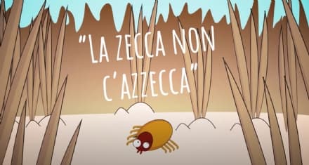 CANAVESE - «La zecca non c'azzecca»: qualche consiglio per difendersi dai fastidiosi insetti - VIDEO