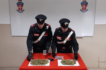 FIORANO CANAVESE - Spaccio di droga, 300 grammi di marijuana in casa: scatta l'arresto - VIDEO