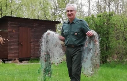CANDIA CANAVESE - Pescatori di frodo nel lago: reti lungo il corso d'acqua per prendere i pesci. Multe per 5000 euro - FOTO