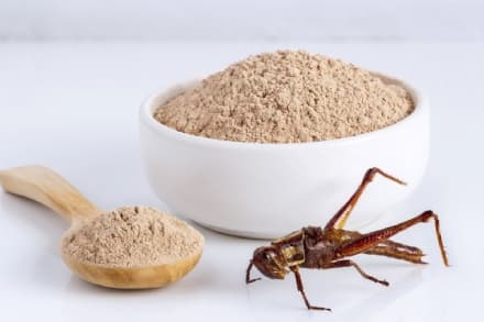 LEINI' - Unbugged, un'idea «Made in Canavese» per trovare dove mangiare senza farina di grillo e cibi sintetici