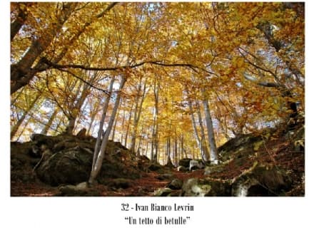 INGRIA - Il concorso fotografico scalda i motori della festa patronale - FOTO