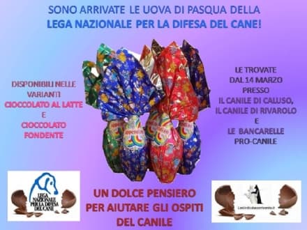 CALUSO-RIVAROLO - Le uova di Pasqua aiutano i cuccioli nei rifugi