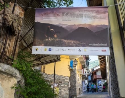 RONCO - Le foto del Parco «appese» nelle vie del paese - FOTO