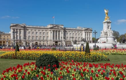 CURIOSITA' - Quanto costa dormire a Buckingham Palace?