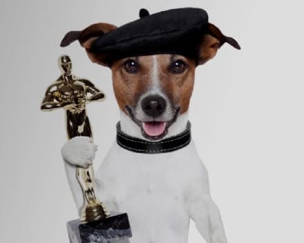 PET - Can che abbaia non morde (sta recitando)