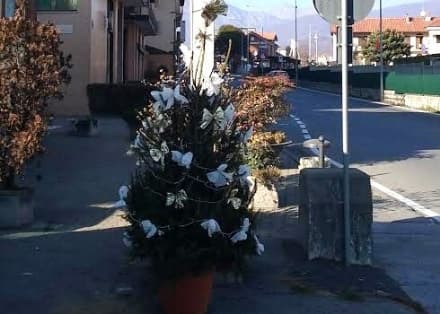 RIVAROLO-CUORGNE' - Un lieto fine anche per l'albero di Natale...