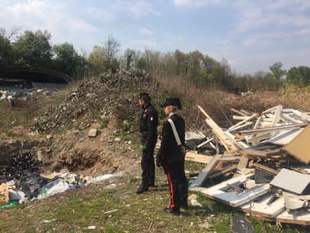 CASELLE - Danni all'ambiente sulle rive del torrente Stura: nove persone denunciate dai carabinieri - FOTO