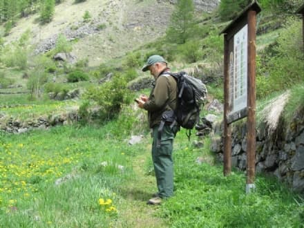 CERESOLE - Cacciatori denunciati, stavano per uccidere un camoscio
