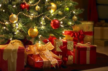 IVREA - Condannata dal tribunale la giovane ladra di Natale