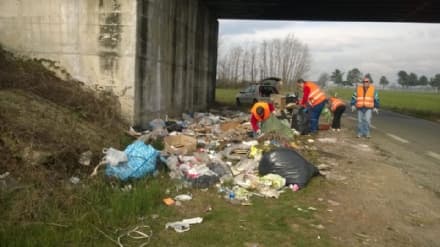 LEINI - Contro i soliti maiali intervengono i volontari - FOTO