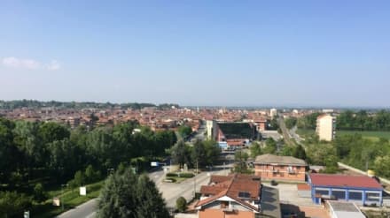 VOLPIANO - Completato il censimento delle piante: abbattuti alcuni alberi malati